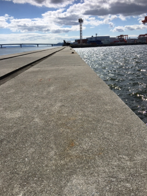 ショアジギング