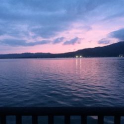 ヒラメ釣れました