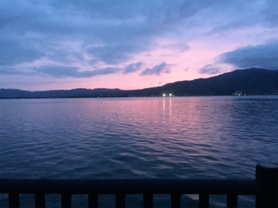 ヒラメ釣れました