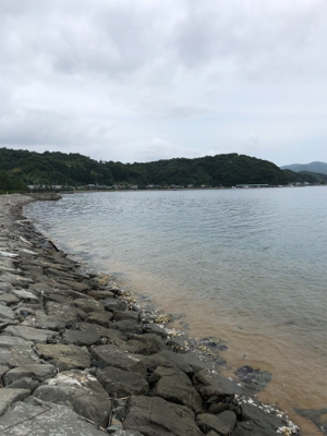 エソエソエソエソ