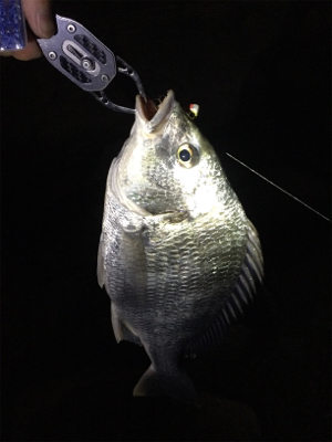 奇跡の淀川五目