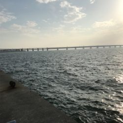 やっぱり釣りは楽しい！