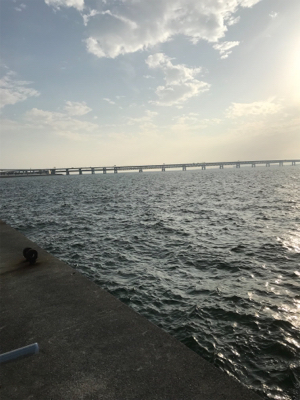 やっぱり釣りは楽しい！