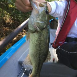 子どもに優しい桜池