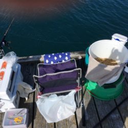 夕方まで粘ってやっと