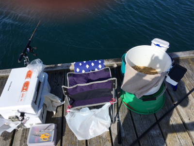 夕方まで粘ってやっと