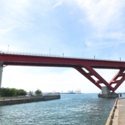 神戸東側ではまだ早い？！