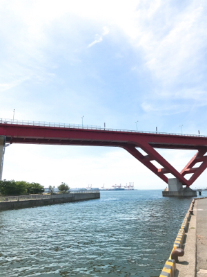 神戸東側ではまだ早い？！