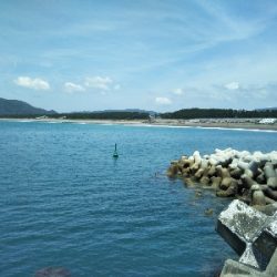 ジギング不発のキッシング