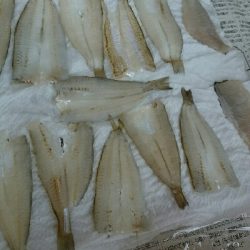 楽しいライトゲームと美味しいキス天