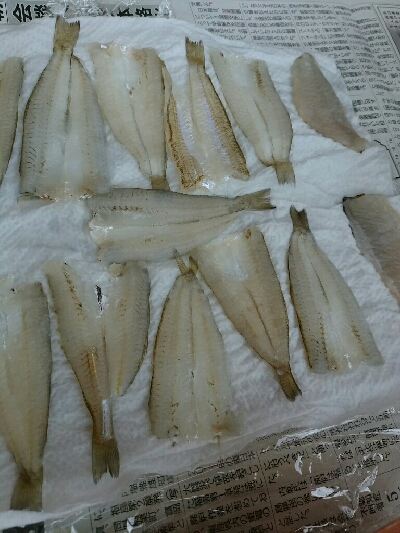 楽しいライトゲームと美味しいキス天