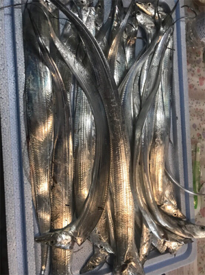 細いんですが…