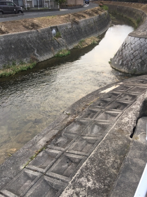 今日も仕事帰りに少しナマズゲーム