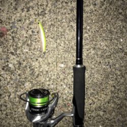 久しぶりの60アップ