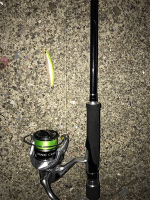 久しぶりの60アップ