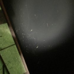 良型ガシラ入れ食い