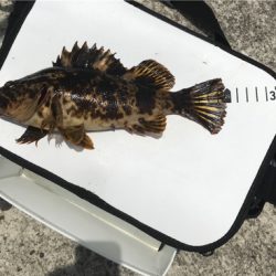 わいわいエギング