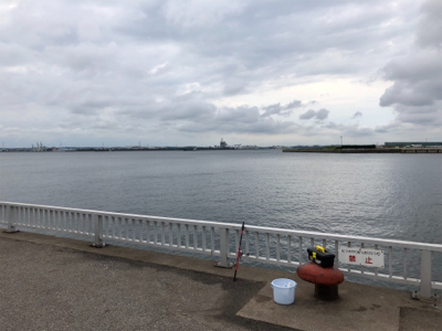 サビキ釣りで大漁