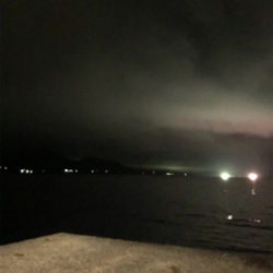 小雨の中アジング