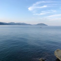 ライトゲーム ロックフィッシュ