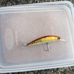 自己記録更新 １０UP