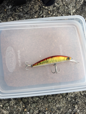 自己記録更新 １０UP