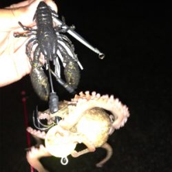 オクトパッシング