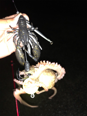 オクトパッシング