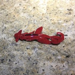 淀川ブリームゲーム キビレはどこへ？