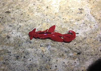 淀川ブリームゲーム キビレはどこへ？