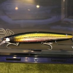 雨後増水ウェーディング