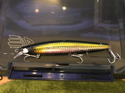 雨後増水ウェーディング