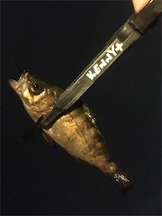 ラストメバリング