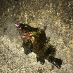 雨の前にメバリング