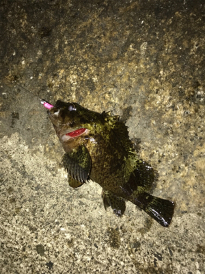 雨の前にメバリング