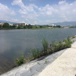 濁り川でデイナマ