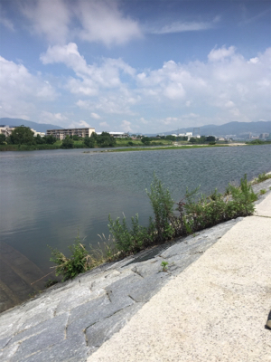 濁り川でデイナマ