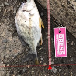 雨上がりのキス