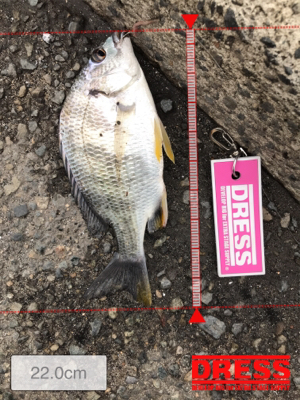 雨上がりのキス