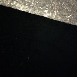 ナイトアジング