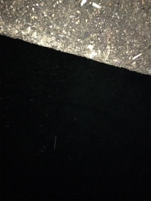 ナイトアジング