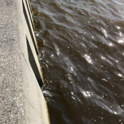 やっぱり楽しい釣り‼️