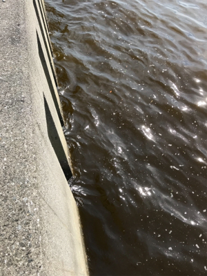 やっぱり楽しい釣り‼️