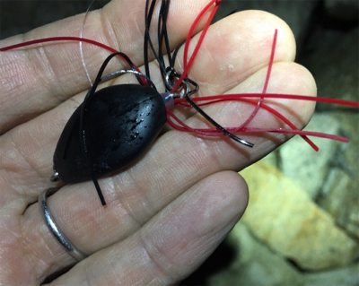 淀川ブリームゲーム ボラの大群が一斉にジャンプ？