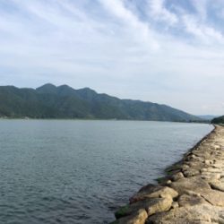 シーバス狙いに短時間勝負してきました