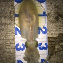 ホームエギング