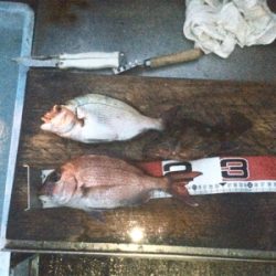 水潮だとこんなもん?