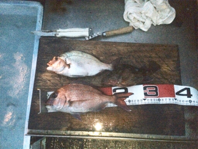 水潮だとこんなもん?