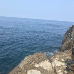 アジだらけ!福井 越前海岸 地磯フカセ夜釣り