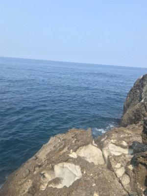 アジだらけ!福井 越前海岸 地磯フカセ夜釣り